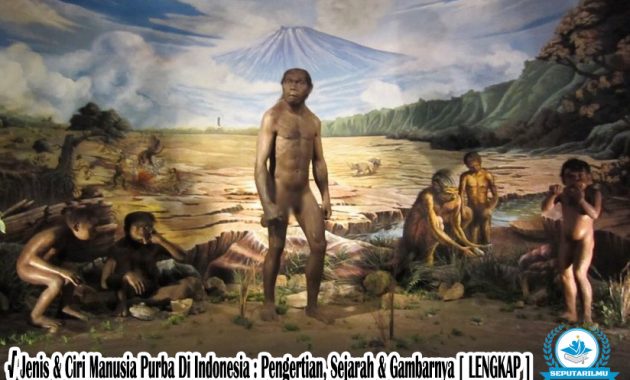 √ Jenis & Ciri Manusia Purba Di Indonesia : Pengertian, Sejarah & Gambarnya [ LENGKAP ]