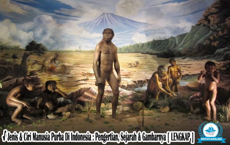 √ Jenis & Ciri Manusia Purba Di Indonesia : Pengertian, Sejarah & Gambarnya [ LENGKAP ]