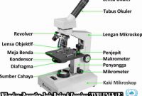 √ Mikroskop : Pengertian, Jenis, Bagian & Fungsinya [ TERLENGKAP ]