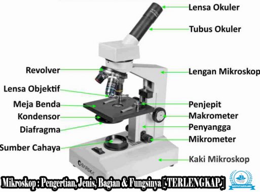 √ Mikroskop : Pengertian, Jenis, Bagian & Fungsinya [ TERLENGKAP ]