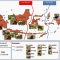 Persebaran Fauna di Indonesia