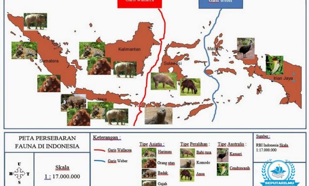 Persebaran Fauna di Indonesia