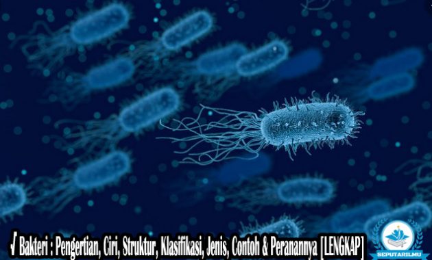 √ Bakteri : Pengertian, Ciri, Struktur, Klasifikasi, Jenis, Contoh & Peranannya [LENGKAP]