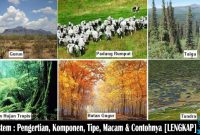 √ Ekosistem : Pengertian, Komponen, Tipe, Macam & Contoh Lengkap