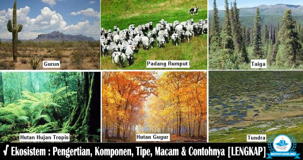 √ Ekosistem : Pengertian, Komponen, Tipe, Macam & Contoh Lengkap