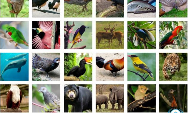 Fauna : Pengertian, Jenis, Contoh, Persebaran & Penyebabnya [ TERLENGKAP ]