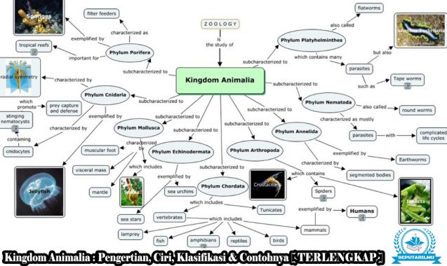 Kingdom Animalia : Pengertian, Ciri, Klasifikasi & Contohnya [ TERLENGKAP ]
