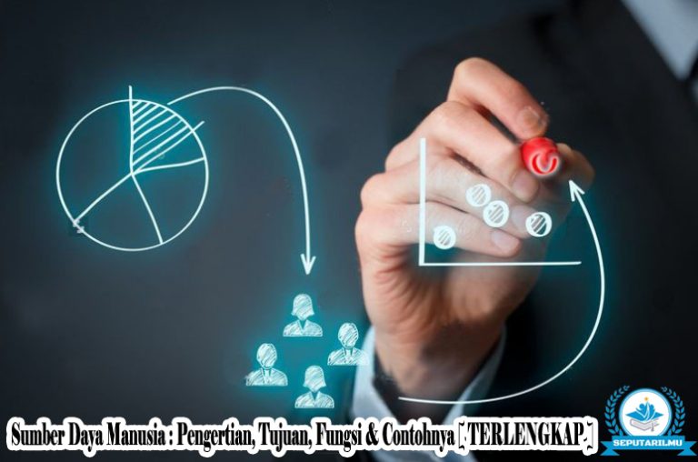 Sumber Daya Manusia : Pengertian, Tujuan, Fungsi & Contohnya [ TERLENGKAP ]