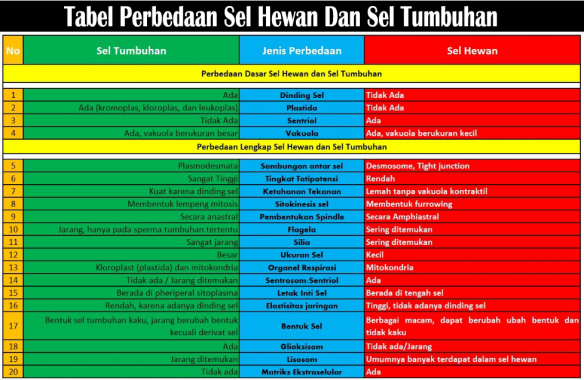 660 Koleksi Gambar Sel Hewan Dan Tumbuhan Beserta Keterangannya Dalam Bahasa Indonesia HD