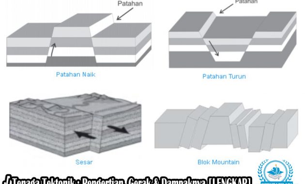 √ Tenaga Tektonik : Pengertian, Gerak & Dampaknya [LENGKAP]