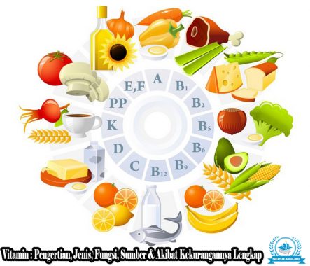 √ Vitamin : Pengertian, Jenis, Fungsi, Sumber & Akibat Kekurangannya Lengkap