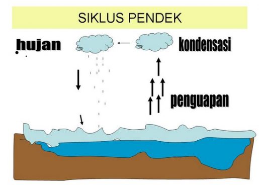 Siklus Hidrologi Pendek