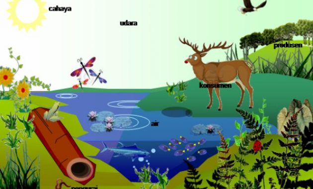 √ Rantai Makanan : Pengertian, Manfaat, Urutan, Komponen, Jenis, Jaringan, dan Contohnya Secara Lengkap