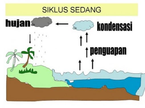 Siklus Hidrologi Sedang