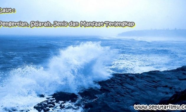 √ Laut : Pengertian, Sejarah, Jenis dan Manfaat Terlengkap