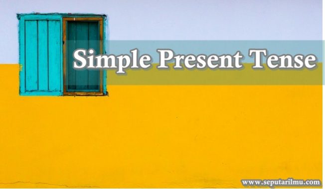 √ Simple Present Tense : Pengertian, Rumus, Fungsi dan Contoh Terlengkap