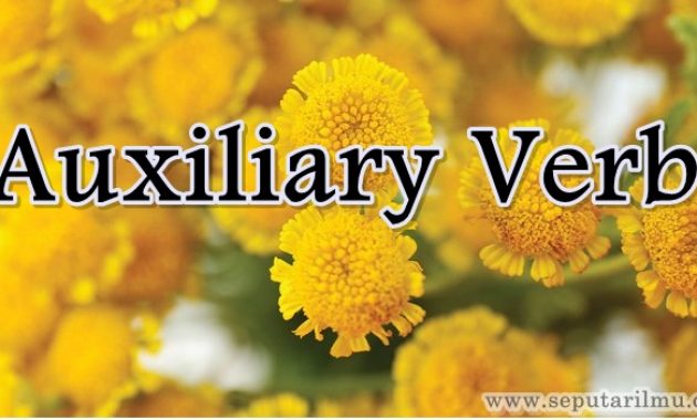 √ Auxiliary Verb : Pengertian, Rumus, Macam dan Contoh Terlengkap