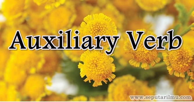 √ Auxiliary Verb : Pengertian, Rumus, Macam dan Contoh Terlengkap