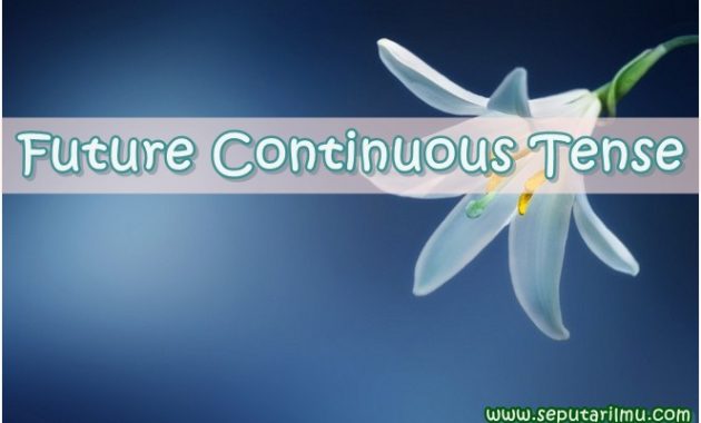 √ Future Continuous Tense : Pengertian, Rumus dan Fungsi Terlengkap