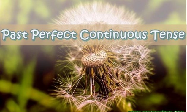√ Past Perfect Continuous Tense : Pengertian, Rumus dan Fungsi Terlengkap