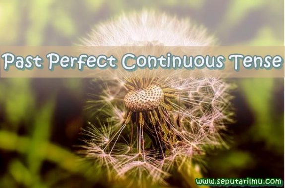 √ Past Perfect Continuous Tense : Pengertian, Rumus dan Fungsi Terlengkap