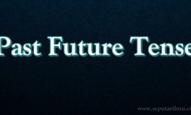 √ Past Future Tense : Pengertian, Fungsi dan Rumus Terlengkap