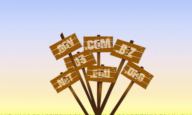 √ Domain : Pengertian, Jenis, Fungsi dan Contoh Terlengkap