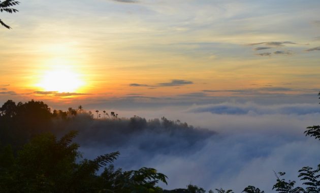 √ Kabut : Pengertian, Proses Terbentuknya, Jenis, Manfaat dan Ciri Terlengkap