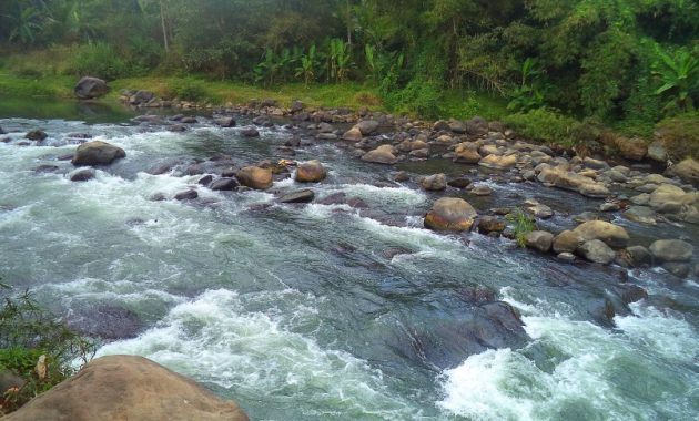 √ Sungai : Pengertian, Proses Terbentuknya, Jenis, Fungsi dan Bagian Terlengkap