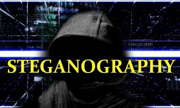 √ Steganografi : Pengertian, Jenis, Prinsip, Kriteria dan Aspek Terlengkap