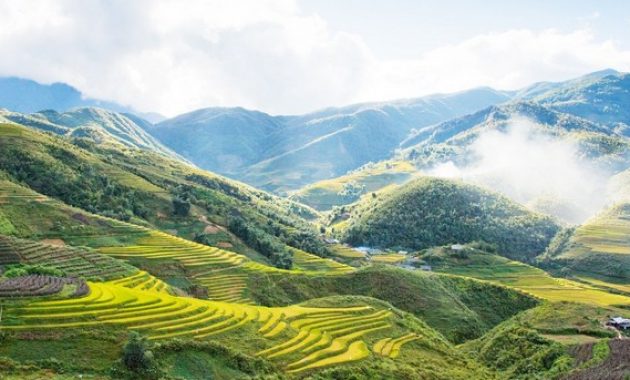 √ Dataran Tinggi : Pengertian, Tanaman yang Cocok, Ciri dan Jenis Terlengkap