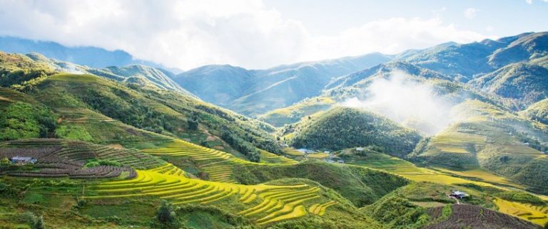 √ Dataran Tinggi : Pengertian, Tanaman yang Cocok, Ciri dan Jenis Terlengkap