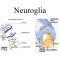 √ Sel Glia (Neuroglia) : Pengertian, Fungsi, Struktur dan Jenis Terlengkap