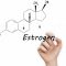 √ Hormon Estrogen : Pengertian, Fungsi, Cara Kerja, Kelebihan dan Kekurangan Terlengkap