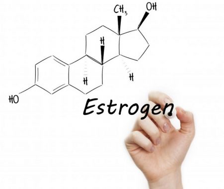 √ Hormon Estrogen : Pengertian, Fungsi, Cara Kerja, Kelebihan dan Kekurangan Terlengkap