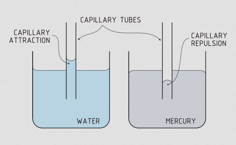 √ Kapilaritas : Pengertian, Manfaat, Rumus dan Contoh Terlengkap