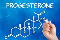 √ Hormon Progesteron : Pengertian, Fungsi, Kekurangan dan Cara Kerja Terlengkap