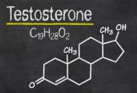 √ Hormon Testosteron : Pengertian, Fungsi, Cara Kerja, Kelebihan dan Kekurangan Terlengkap