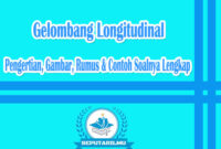 Gelombang Longitudinal