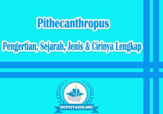 Pithecanthropus