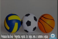 Permainan Bola Besar : Pengertian, Sejarah, Ciri, Fungsi, Jenis, & Contohnya Lengkap
