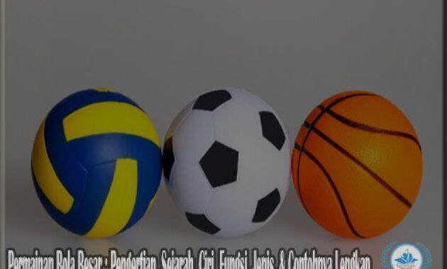 Permainan Bola Besar : Pengertian, Sejarah, Ciri, Fungsi, Jenis, & Contohnya Lengkap