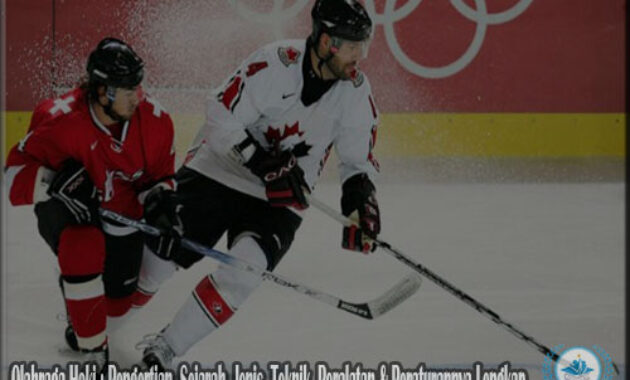 Hoki : Pengertian, Sejarah, Jenis, Teknik, Peralatan & Peraturannya Lengkap