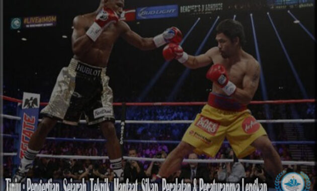 Tinju : Pengertian, Sejarah, Teknik, Manfaat, Sikap, Peralatan & Peraturannya Lengkap