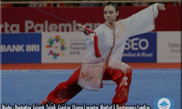 Wushu : Pengertian, Sejarah, Teknik, Gerakan, Ukuran Lapangan, Manfaat & Peraturannya Lengkap