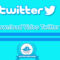 Download Video Twitter