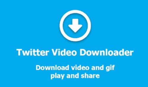 Download Video Twitter Via Video Downloader for Twitter