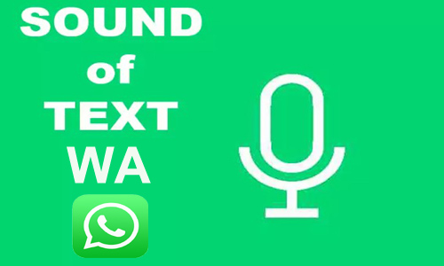Review Sound Of Text WA