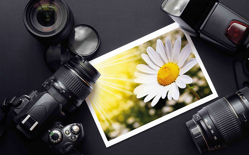 Seni Fotografi : Pengertian, Fungsi, Teknik, Jenis & Contohnya